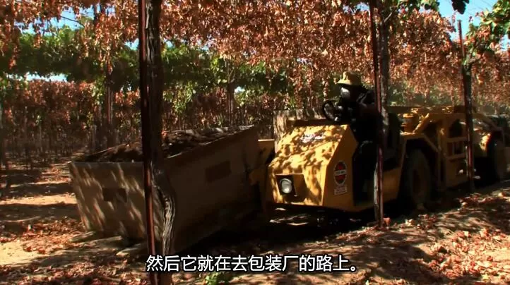 QQ截图20240905160416.jpg