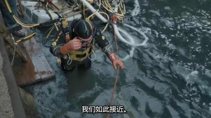 QQ截图20240919190400.jpg