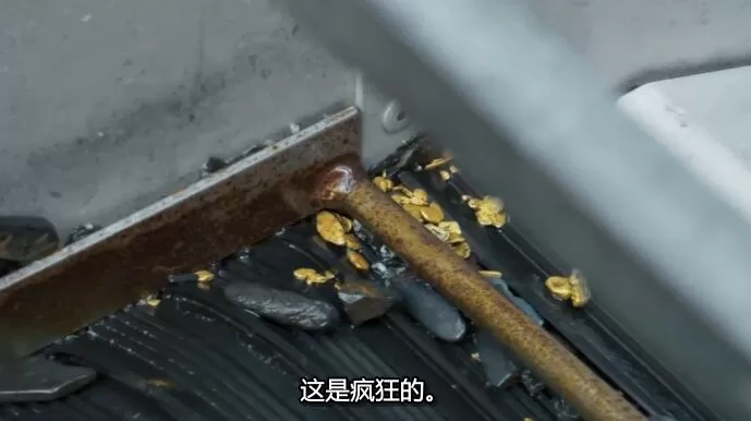 QQ截图20240919190420.jpg