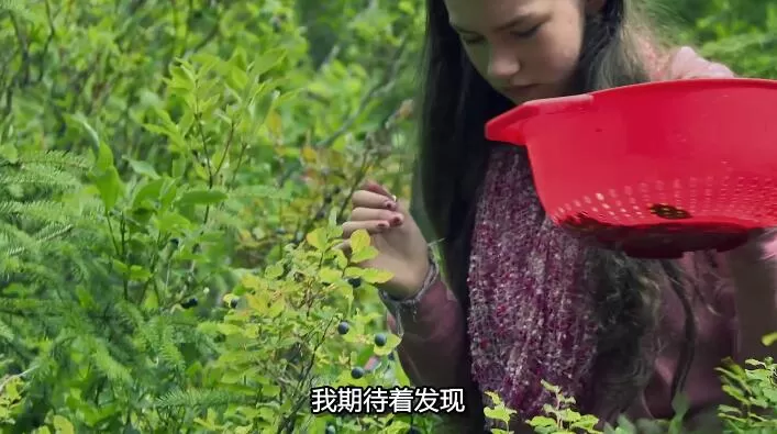 QQ截图20240919192013.jpg