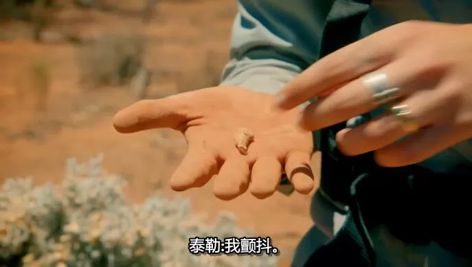 QQ截图20240921140453.jpg