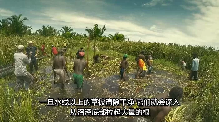QQ截图20240927135603.jpg