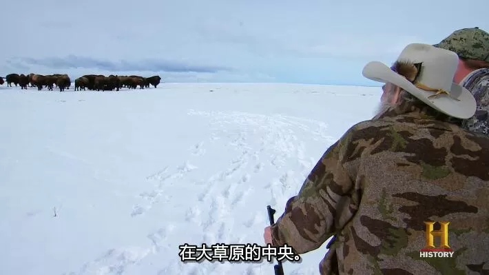 QQ截图20240930141205.jpg