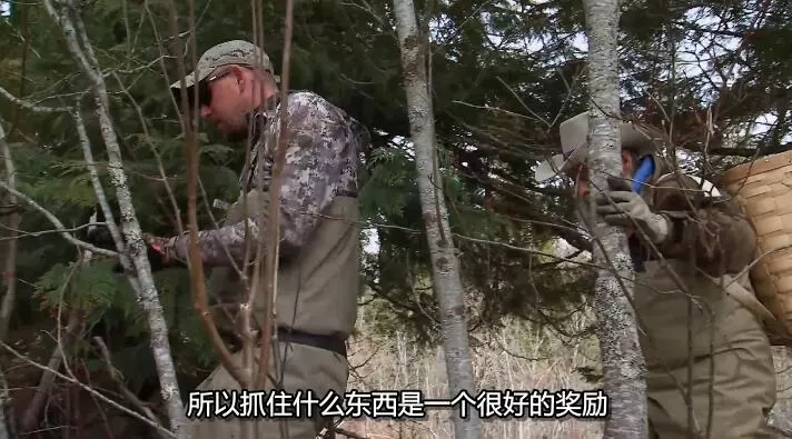 QQ截图20240930141141.jpg