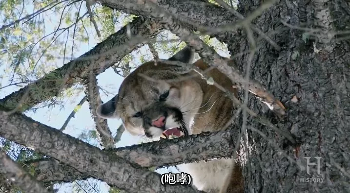 QQ截图20240930141701.jpg