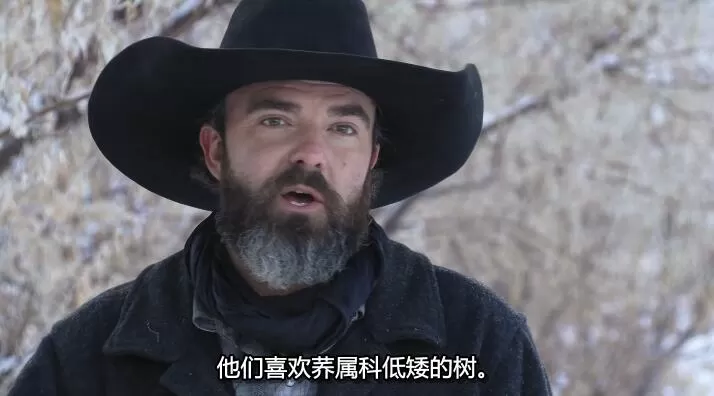 QQ截图20240930140843.jpg