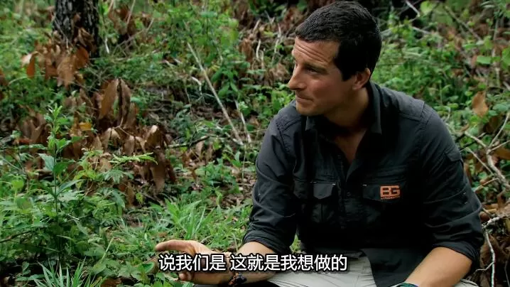 QQ截图20241002150756.jpg
