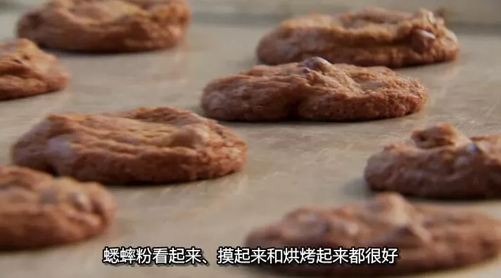 QQ截图20241005140050.jpg