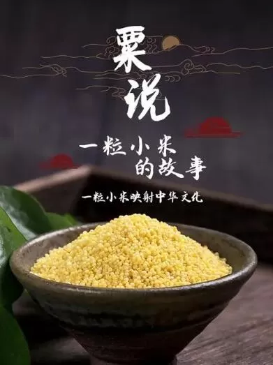纪录片[粟说- 一粒小米的故事]第一季共4集  国语中字1080P下载