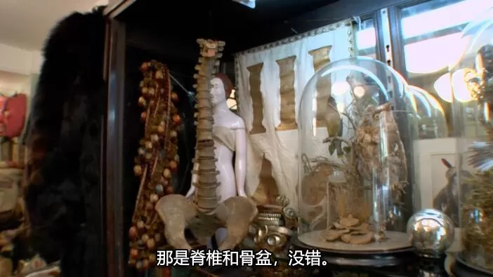 QQ截图20241011132317.jpg