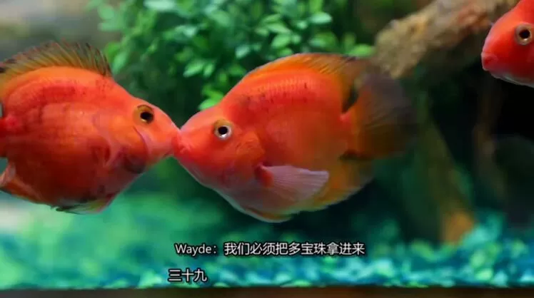 154715ybh5555zisqmk5q5.jpg