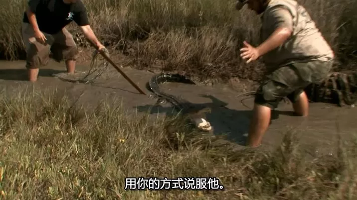 QQ截图20241026183914.jpg