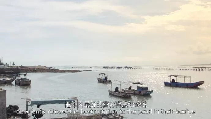 QQ截图20241101193323.jpg