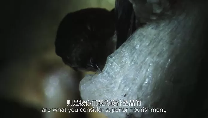 QQ截图20241101193357.jpg