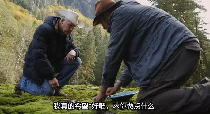 QQ截图20241114192601.jpg