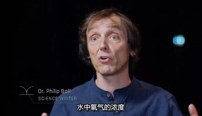 QQ截图20241203155828.jpg
