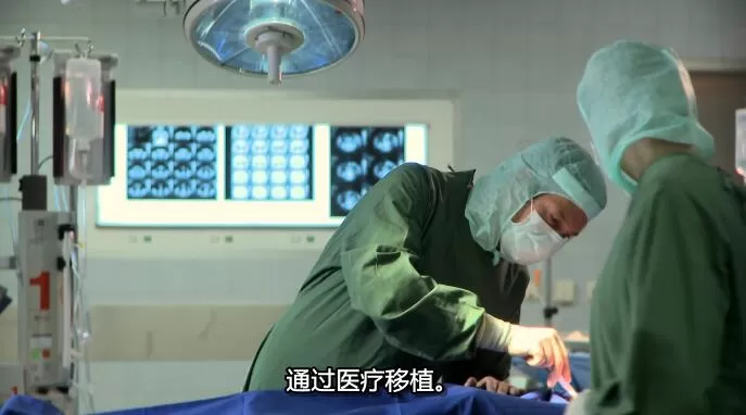 QQ截图20241212184626.jpg