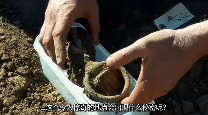 QQ截图20241213152701.jpg
