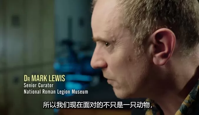 QQ截图20241213152721.jpg