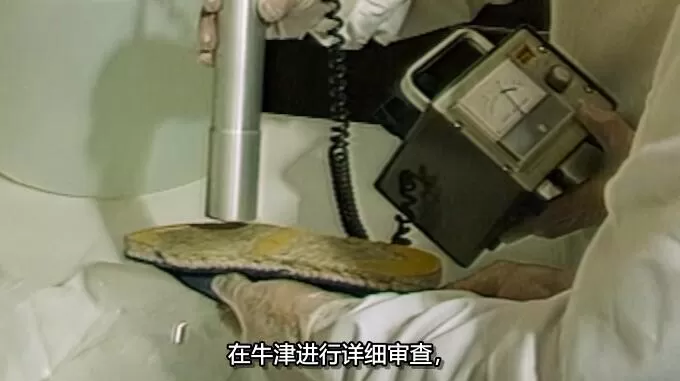 QQ截图20241213153339.jpg