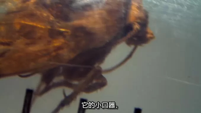 QQ截图20241213153512.jpg