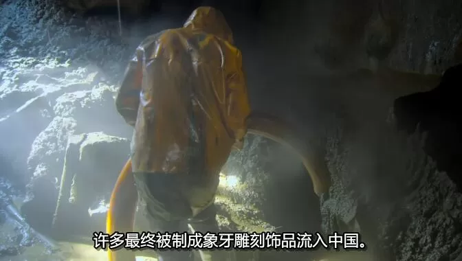 QQ截图20241213153450.jpg