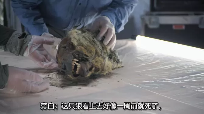 QQ截图20241213153553.jpg