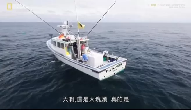 QQ截图20241216152051.jpg