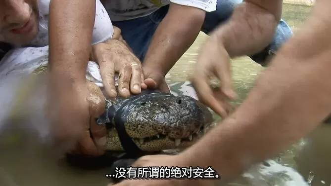 QQ截图20241219190504.jpg