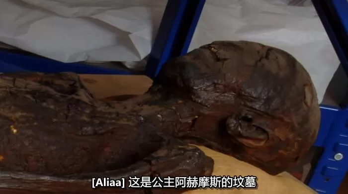 QQ截图20241220194709.jpg