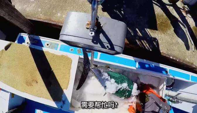 QQ截图20241224190015.jpg