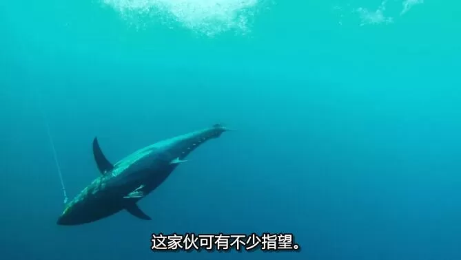 QQ截图20241224190137.jpg