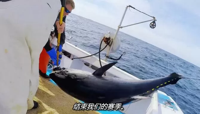 QQ截图20241224190519.jpg