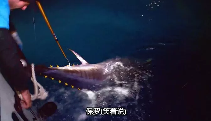 QQ截图20241224185609.jpg