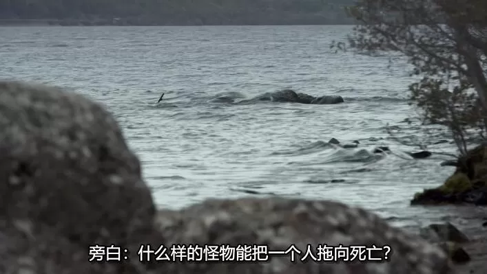 QQ截图20241230202720.jpg