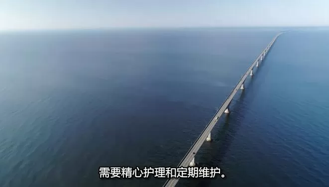 QQ截图20250103193933.jpg