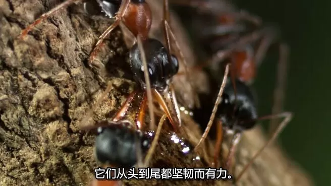 QQ截图20250104145044.jpg