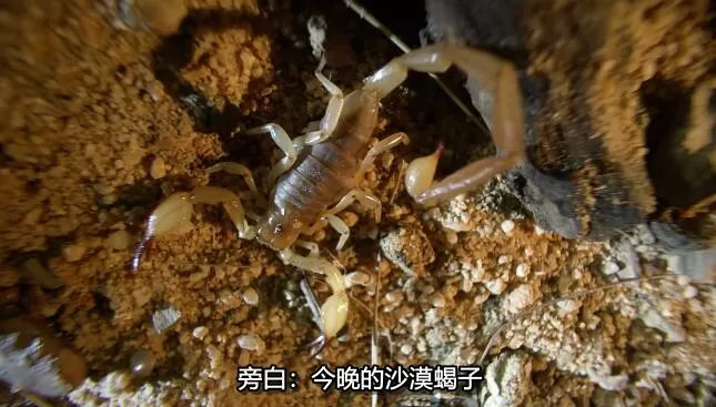 QQ截图20250104145108.jpg