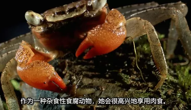 QQ截图20250104145236.jpg