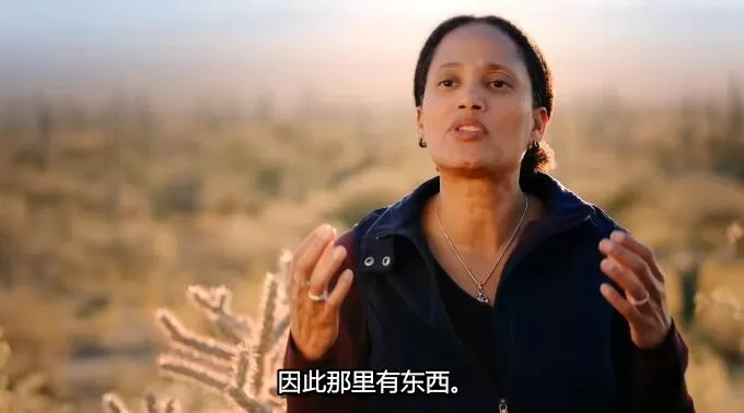 QQ截图20250105185933.jpg