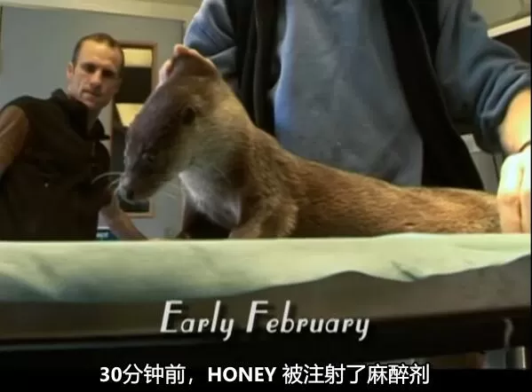 QQ截图20250109192526.jpg