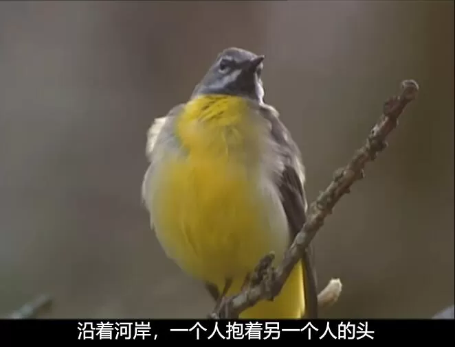 QQ截图20250109192839.jpg