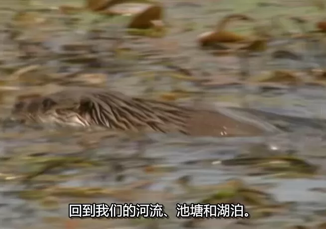 QQ截图20250109192745.jpg
