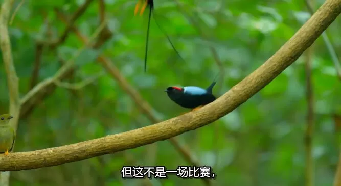 QQ截图20250109193145.jpg