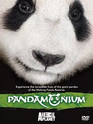 Discovery纪录片[熊猫总动员/熊猫狂热 Pandamonium]第一季共5集 英语中字1080P下载