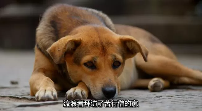 QQ截图20250109193444.jpg