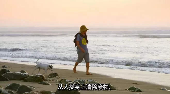 QQ截图20250109193415.jpg