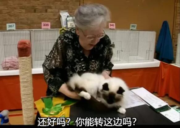 QQ截图20250111194528.jpg