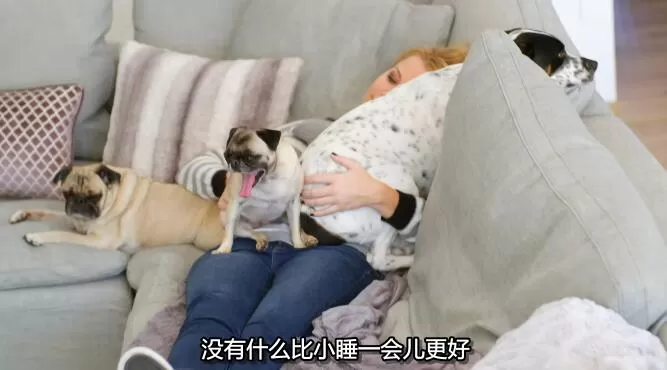 QQ截图20250111194700.jpg