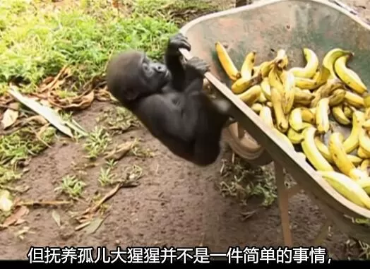 QQ截图20250111194811.jpg